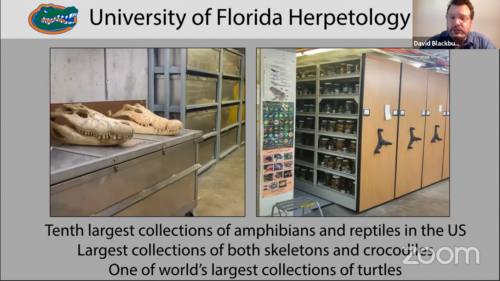 Florida Museum Curator of Herpetology Guides K-12 Students on Virtual Field  Trip to Mounts Botanical Garden – Thompson Earth Systems Institute