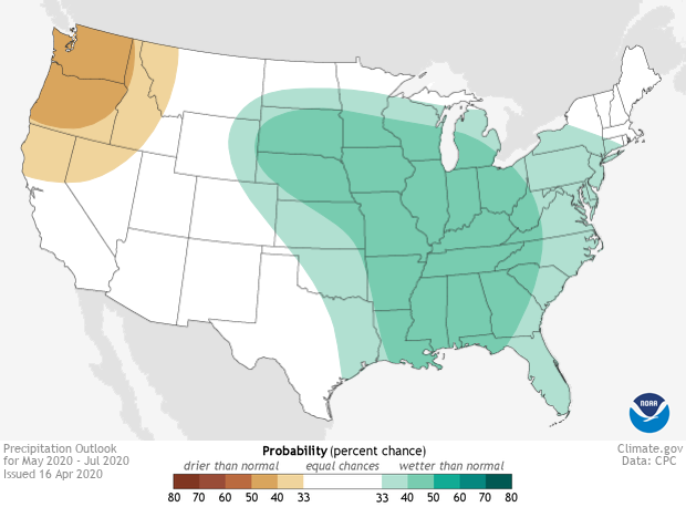 Action of the Month: Catch up with Climate Change in Florida – Thompson