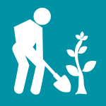 person planting tree graphic