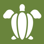 sea turtle graphic