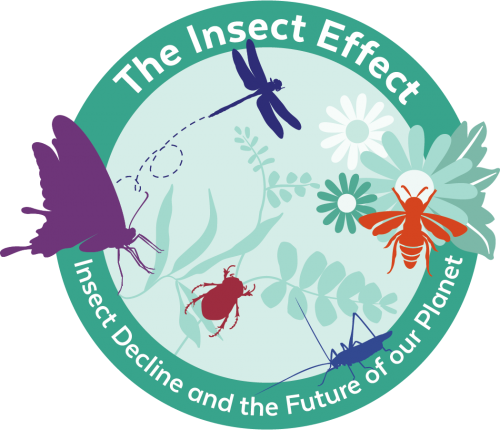 The Insect Effect: Insect Decline and the Future of Our Planet – Thompson  Earth Systems Institute