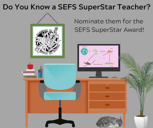 Do you know a SEFS SuperStar Teacher?