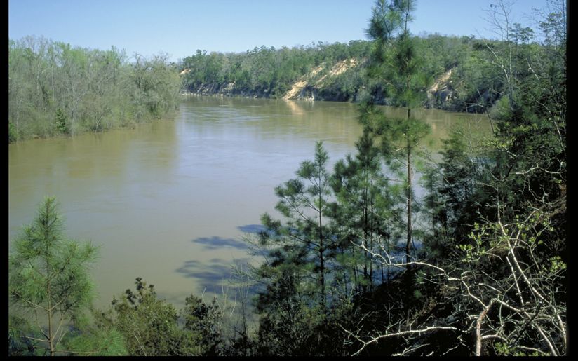 The view from Alum Bluff is unique in the state. © Harold E. Malde