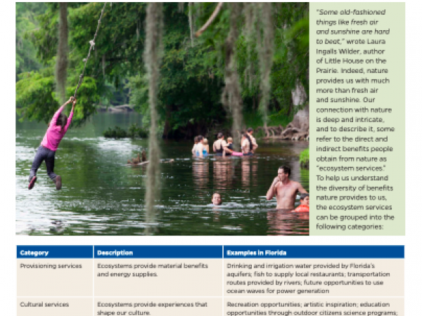 Ecosystem services 1