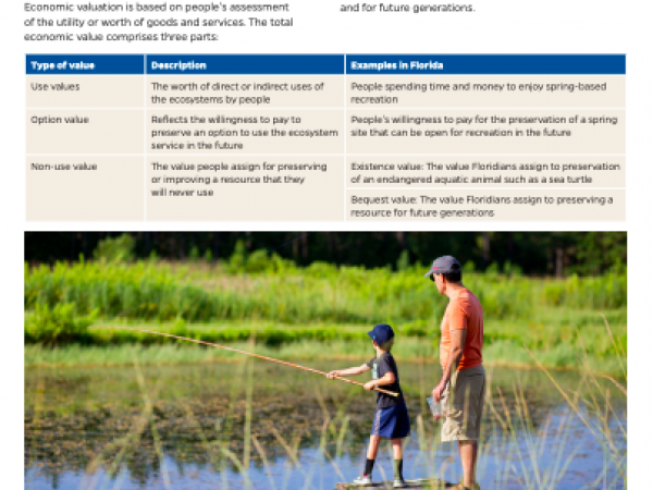 Ecosystem services 2