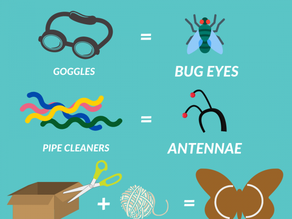Graphic of ideas for making an insect costume