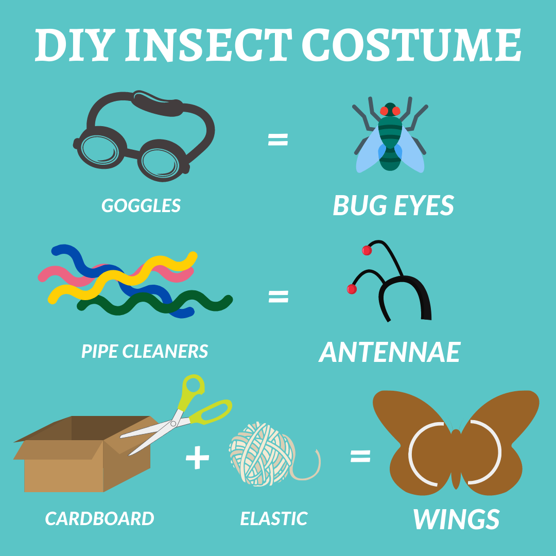 Graphic of ideas for making an insect costume