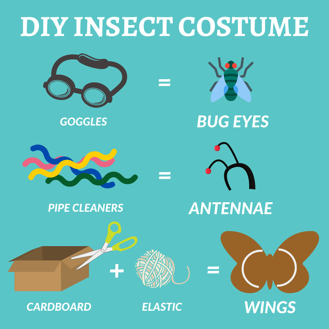 Celebrate Creepy Crawlers this Halloween and Pledge to Protect the Insects  – Thompson Earth Systems Institute