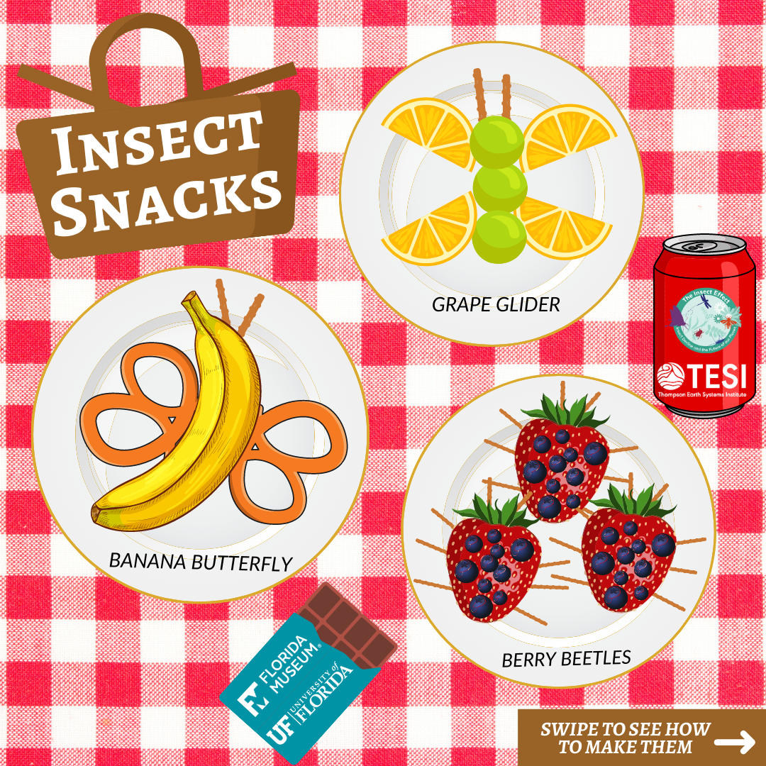 Graphic of ideas for insect-themed snacks