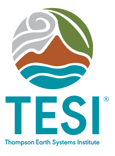 TESI logo