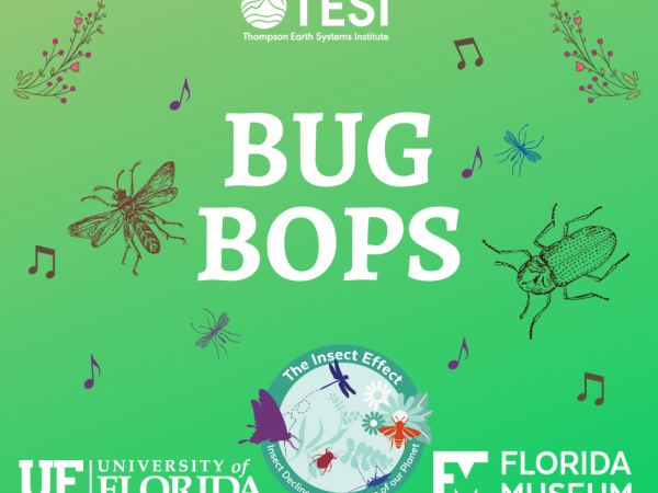 Graphic of Bug Bops, a playlist of insect-themed songs