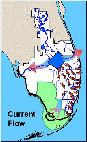 Current flow pattern of the Everglades by Dorota Z. Haman and Mark Svendsen