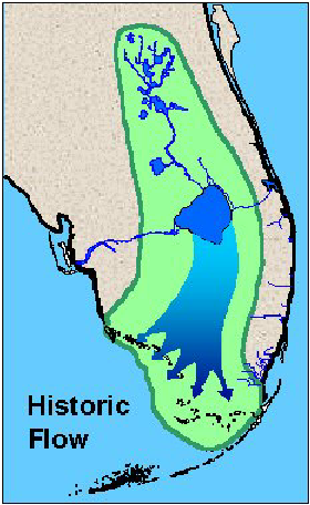 Historic flow pattern of the Everglades by Dorota Z. Haman and Mark Svendsen
