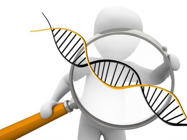 DNA and magnifier