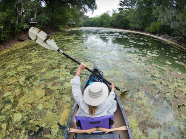 santa fe river kayak algae