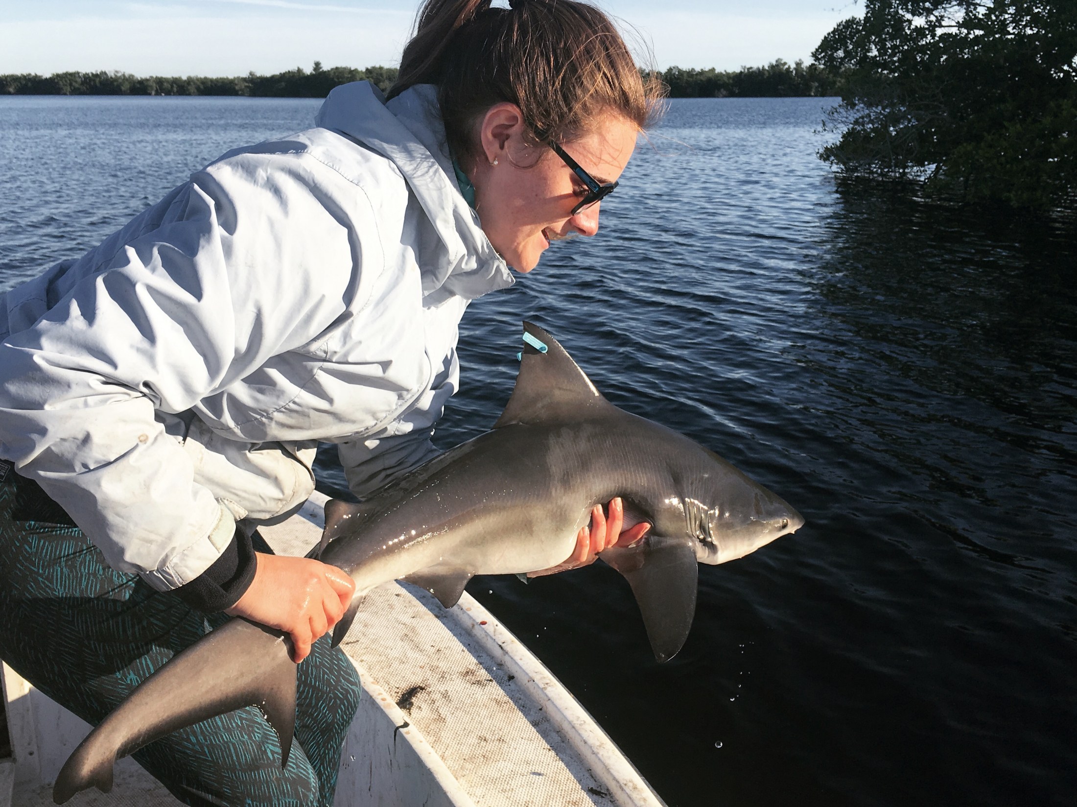 scientist with shark on boat