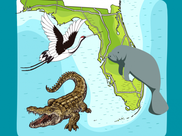 Florida habitat