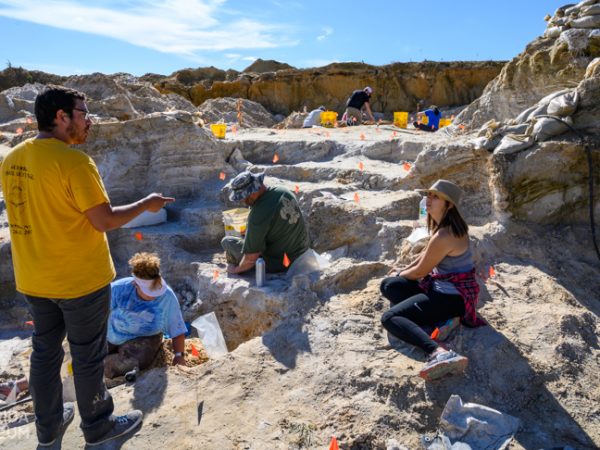 montbrook dig site