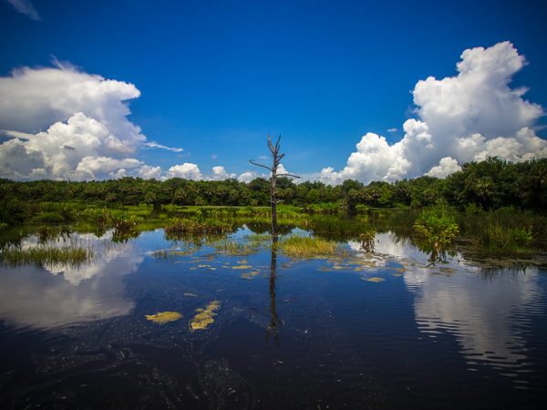 Green Cay Wetlands