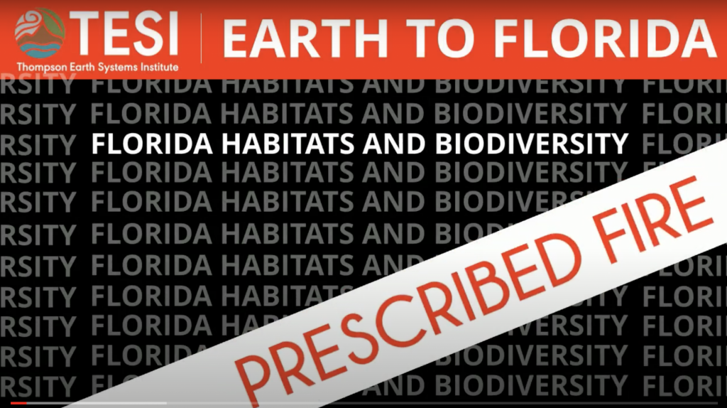 Prescribed Fire - Earth to Florida