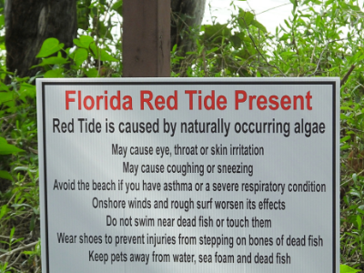 red tide warning sign