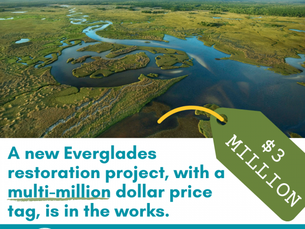 new everglades project