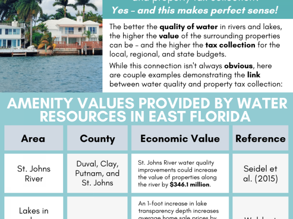 the economic value of waterfront properties