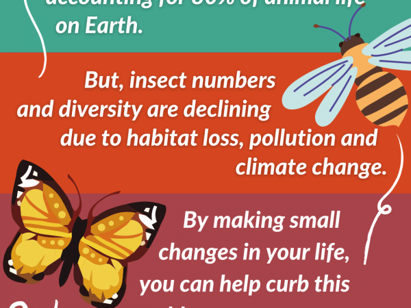 take the pledge to protect the insects