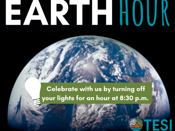Earth hour