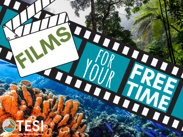 films for your free time
