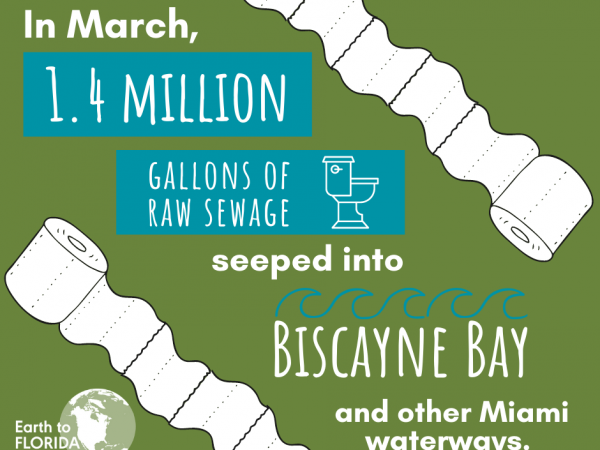 florida waterway pollution
