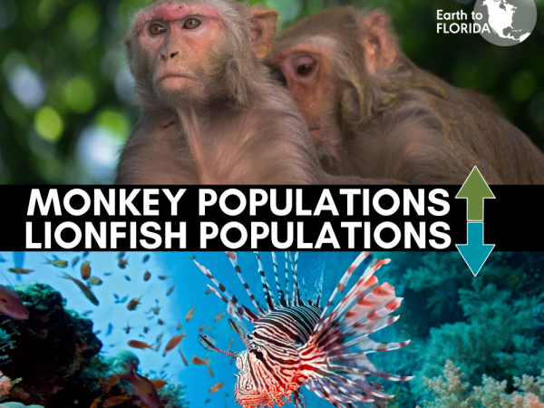 earth to florida graphic