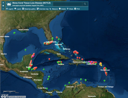 SCTLD map