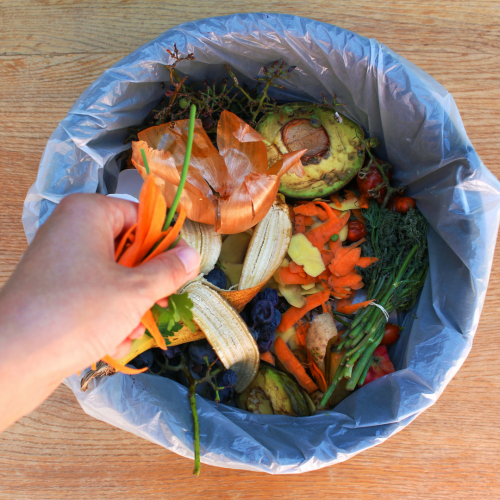 Kitchen compost container