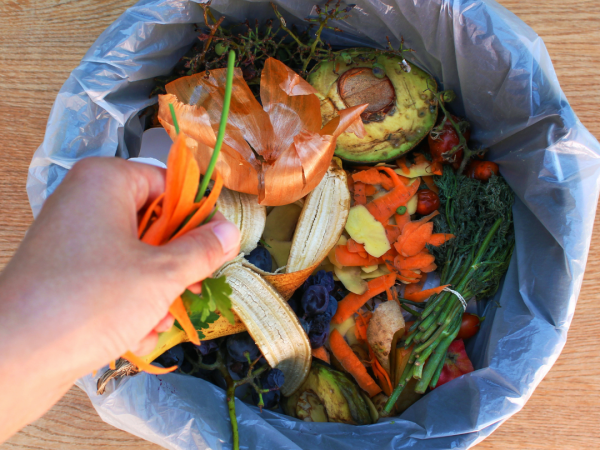 Kitchen compost container