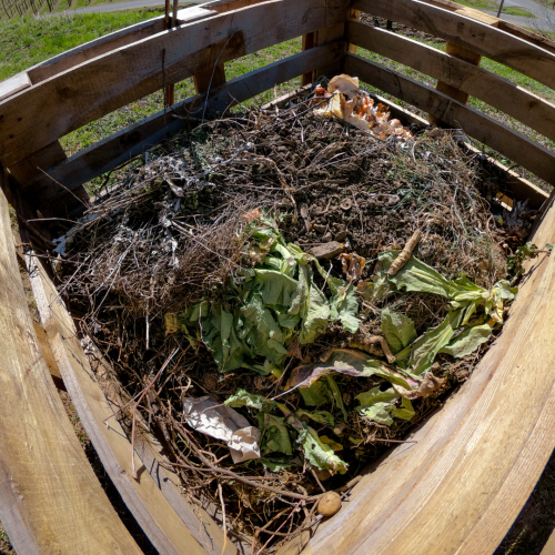 compost bin