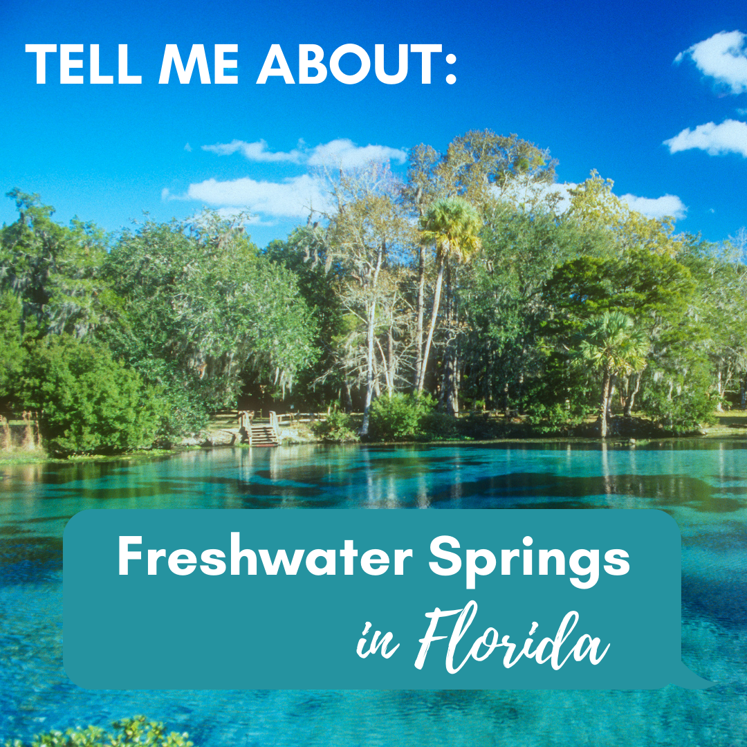 Tell Me About Freshwater Springs