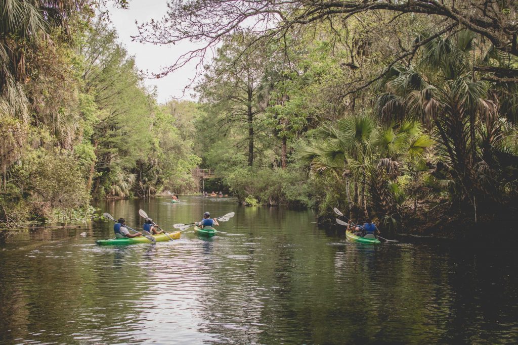 students kayaking