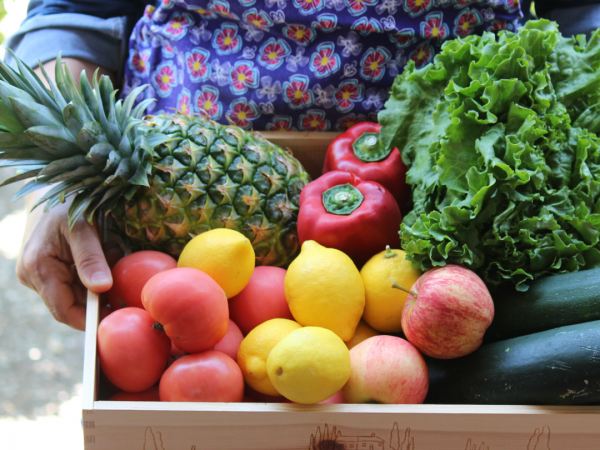 Woman holding fruit and veggies