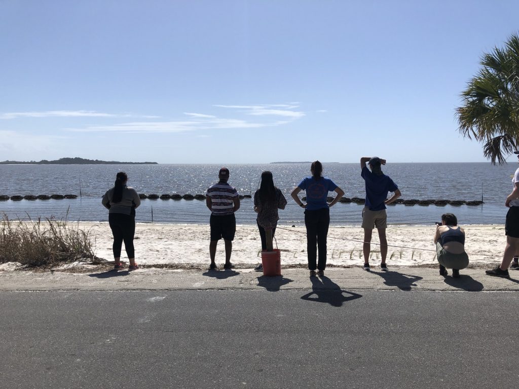 students viewing living shoreline in Cedar Key