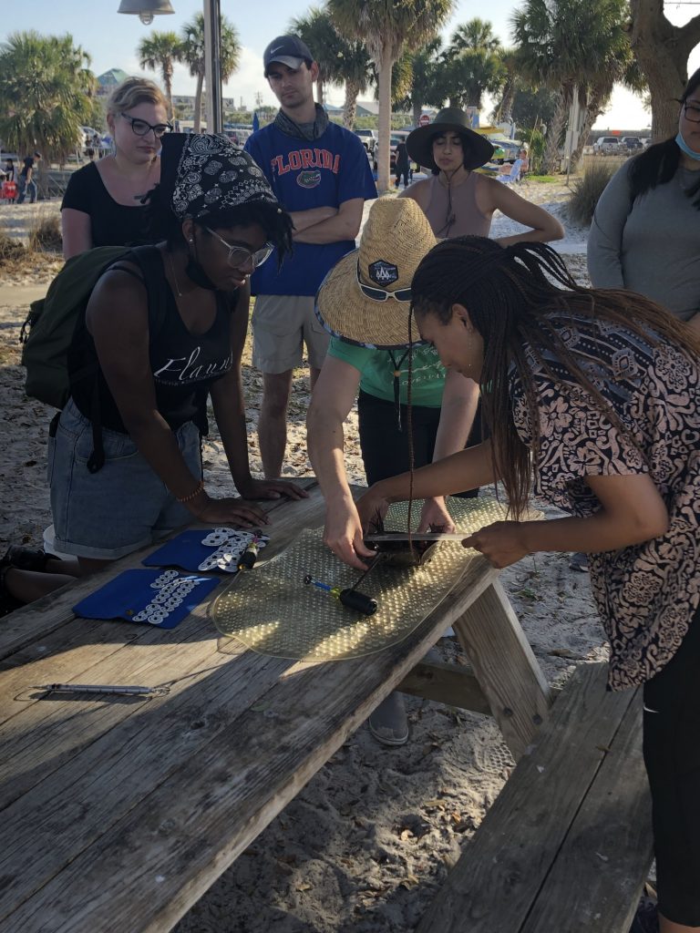 kayla tagging horseshoe crab