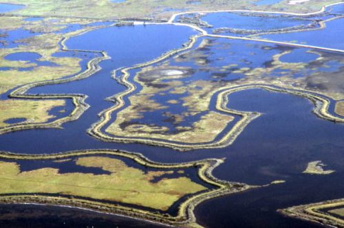 dredged canals in volusia county