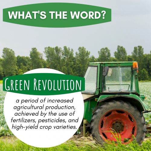 What's the Word: Green Revolution