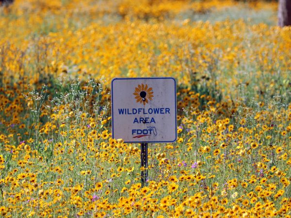 Wildflower Area Sign