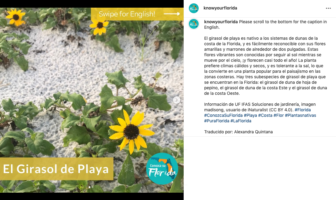 Instagram Post Translated into Spanish