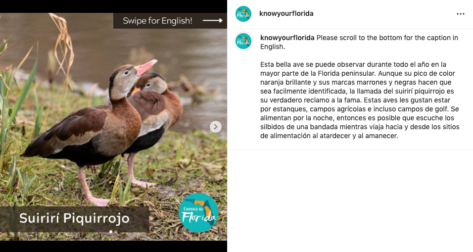 An Instagram Post Translated into Spanish