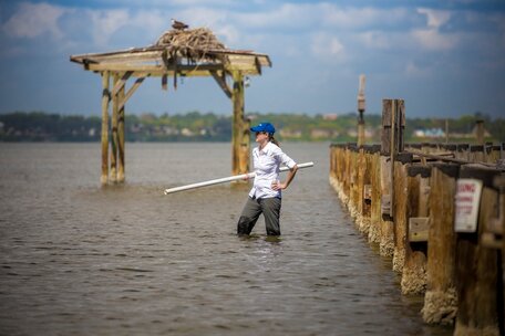 Scientist in shallow waterway looking out