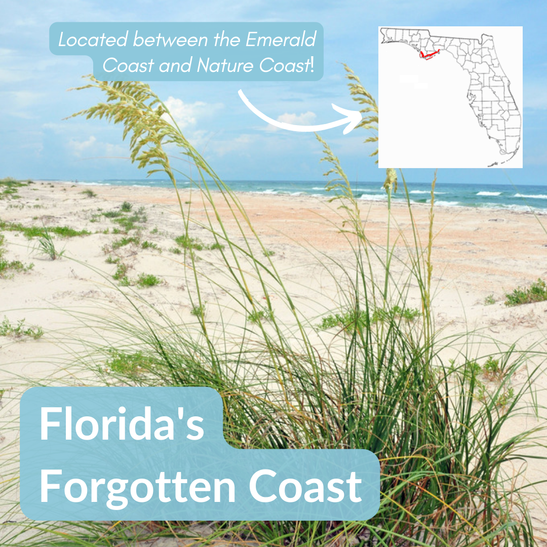florida's forgotten coast