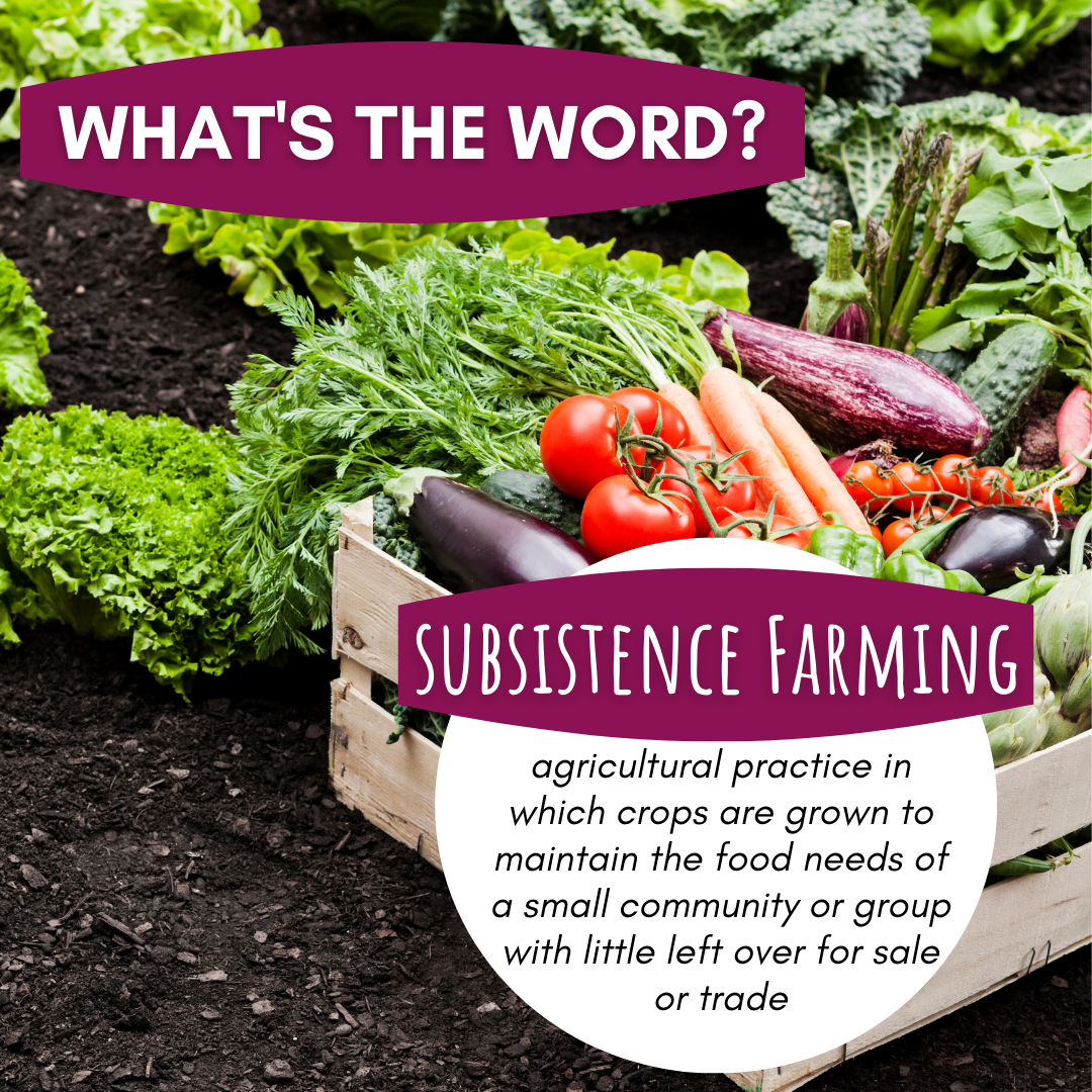 What's the Word Subsistence Farming