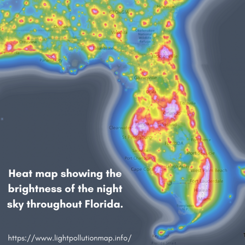 map of light pollution in florida